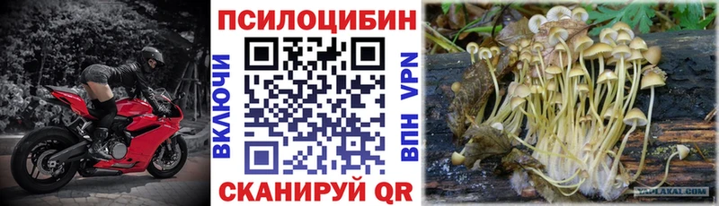 Галлюциногенные грибы ЛСД  Полярный 